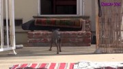 Rescate de un perro lanzado a un canal